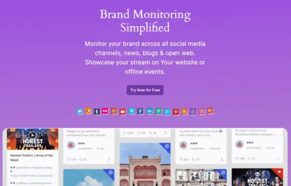 Social Spider : 7% Equity