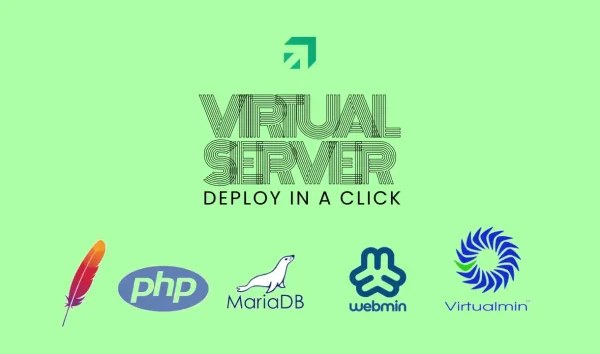 Linux Virtual Server with Virtualmin Panel