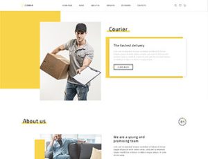 Delivery Business Website