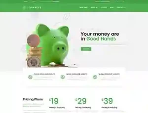 Financial Service Website