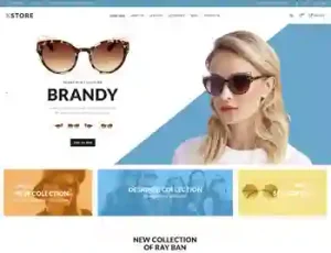 Glasses Shop E-commerce Business