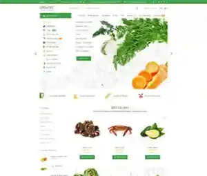 Organic Food Store E-commerce Website