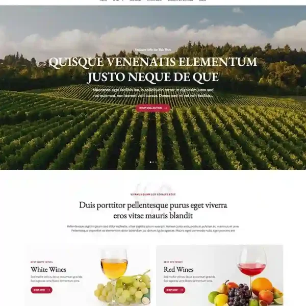 Wine E-commerce Template