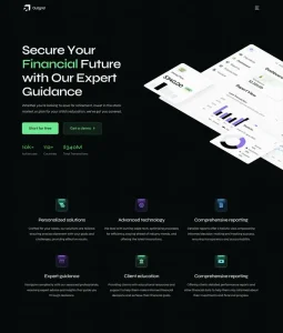 Financial Solutions Website