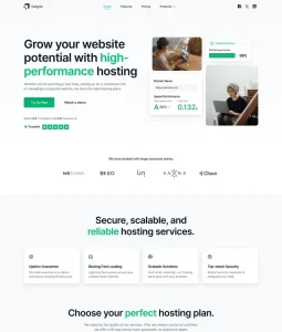 Hosting Website