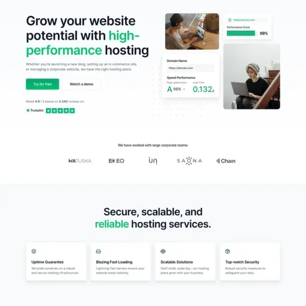 Hosting Website