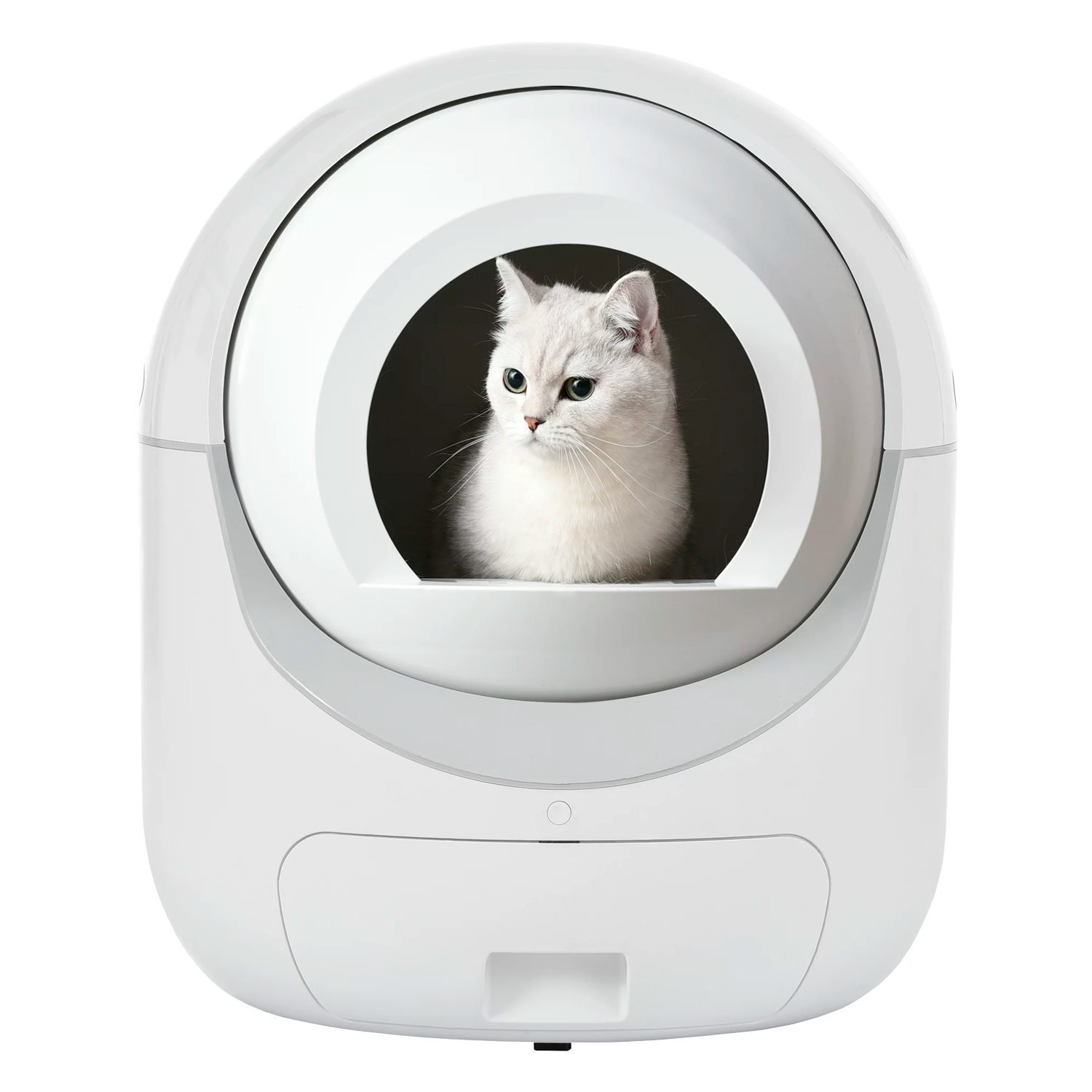 Self Cleaning Litter Boxes in Cat Litter Boxes