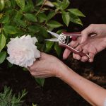 Kent and Stowe Garden Life Pruning Snips - Image 2