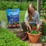 John Innes Peat Free No.2 Potting-on Compost 28L - Image 3