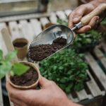 John Innes Peat Free No.2 Potting-on Compost 28L - Image 4