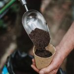 John Innes Peat Free No.2 Potting-on Compost 28L - Image 5