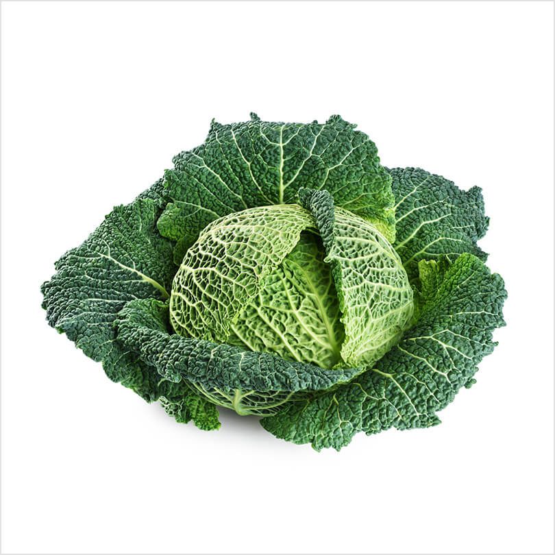 Cabbage