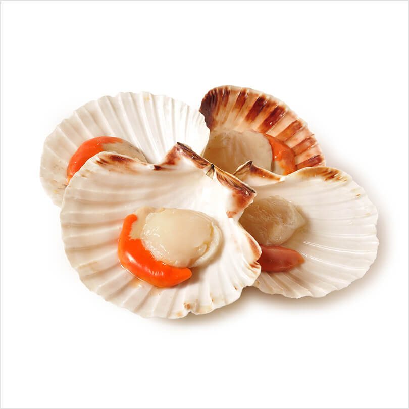 Marine comb